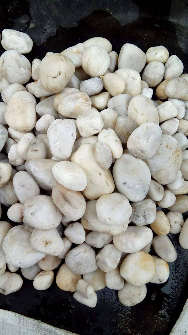 Piedra para jardín — detalle