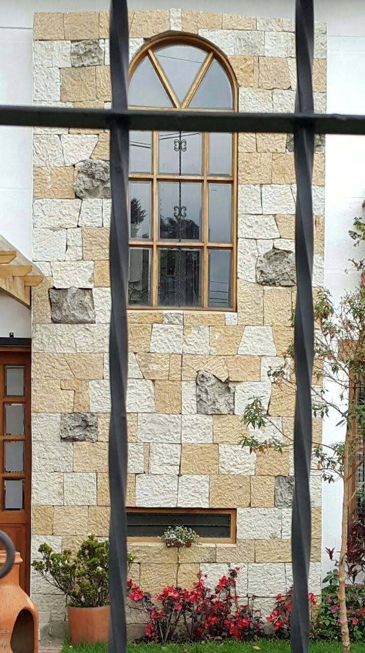 Piedra punteriada cortada — detalle